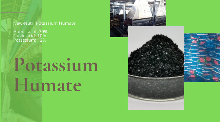 Latest company case about Custom Manufacturing Potassium Humate Shiny Flakes