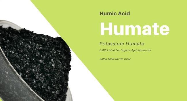 Full Water Soluble 65% Humic Acid Potassium Humate Fertilizer