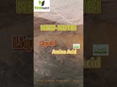 Liquid Amino Acid Organic Fertilizer , Liquid enzymatic hydrolysis protein of plant sure