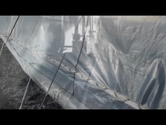 Potassium humate/sodium humate Granules