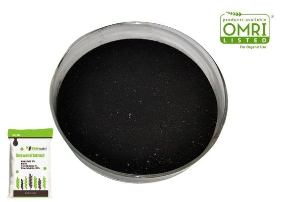 80 Mesh Kelp Extract Powder