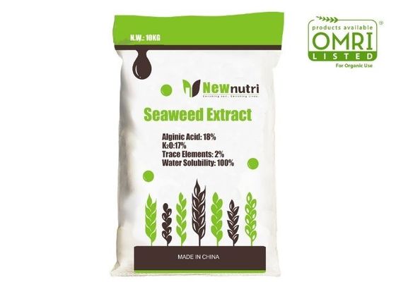 80 Mesh Kelp Extract Powder