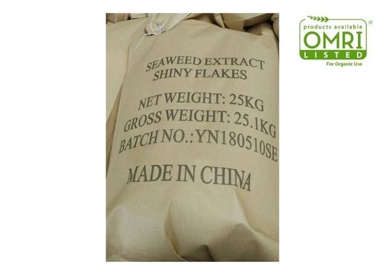 80 Mesh Kelp Extract Powder