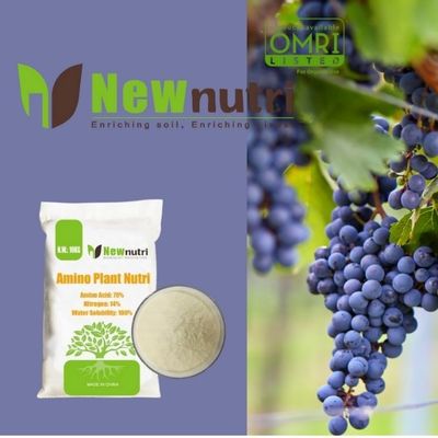 OMRI Amino Acid Fertilizer