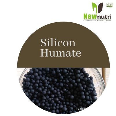 PH8 20% Silicon Organic Acid Fertilizer