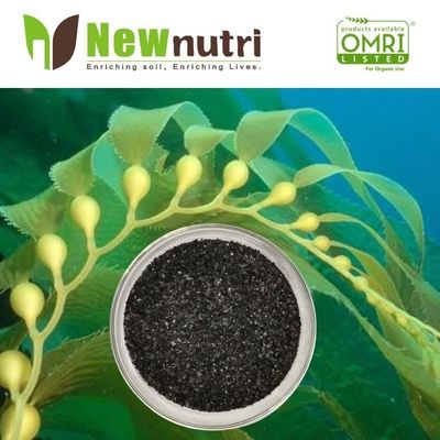8% Alginic Acid 100% Water Soluble Seaweed Extract Powder Fertilizer