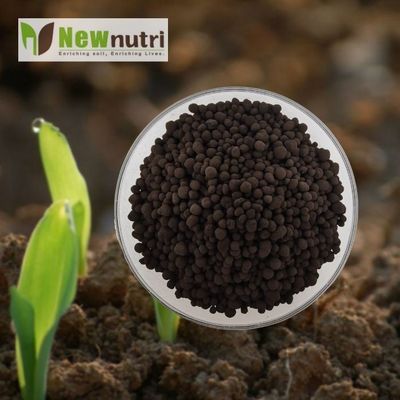 5mm Granular 50% Humic Acid Fertilizer