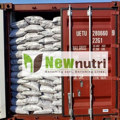 5mm Granular 50% Humic Acid Fertilizer