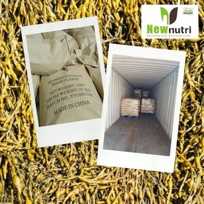 PH10 16% Alginate Powdered Seaweed Fertilizer