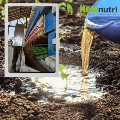 20g/L TE Amino Acid Fertilizer