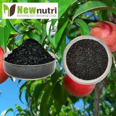 Sodium 100% Water Soluble Humic Acid Powder