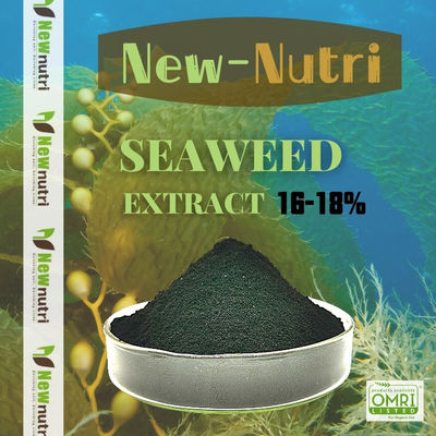Water Soluble Kelp Seaweed Fertilizer With 16% Alginic Acid