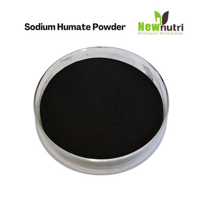 Leonardite Source 85% Water Solubility Sodium Humic Acid