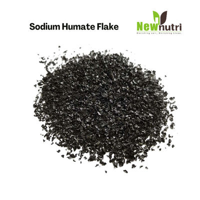 Leonardite Source 85% Water Solubility Sodium Humic Acid