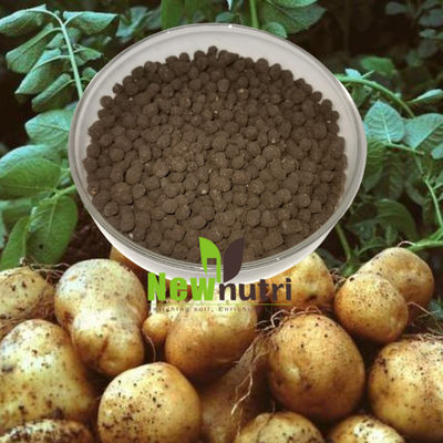 NPK 5.5% PH 8 Seaweed Extract Powder Fertilizer