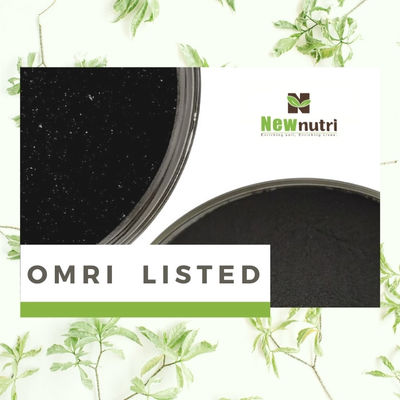 OMRI Listed Ascophyllum Nodosum Seaweed Extract