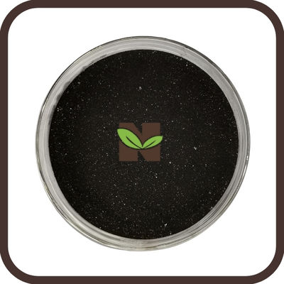 OMRI Listed Ascophyllum Nodosum Seaweed Extract
