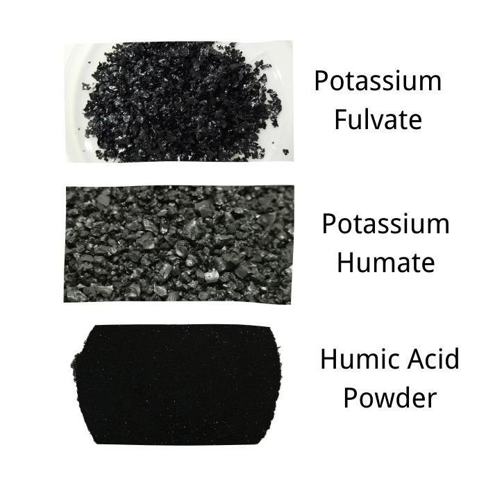 Granular OMRI Humic Acid Organic Fertilizer