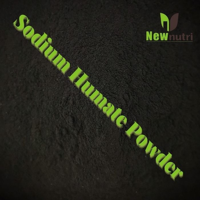 95% Water Soluble Sodium Humic Acid