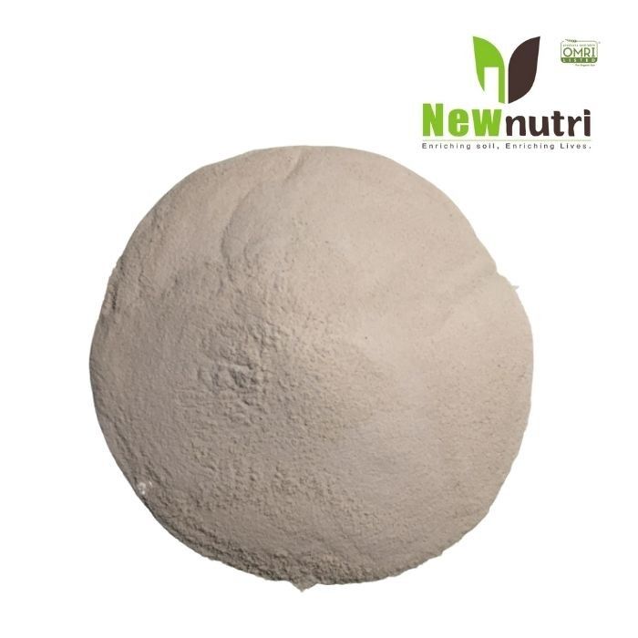 35% Amino Acid Nitrogen Organic Fertilizer