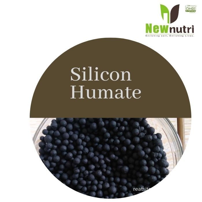 PH8 20% Silicon Organic Acid Fertilizer