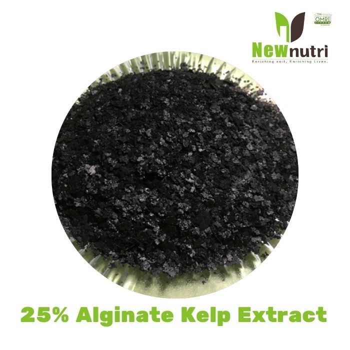 Ascophyllum Nodosum 25% Alginate Powdered Seaweed Fertilizer