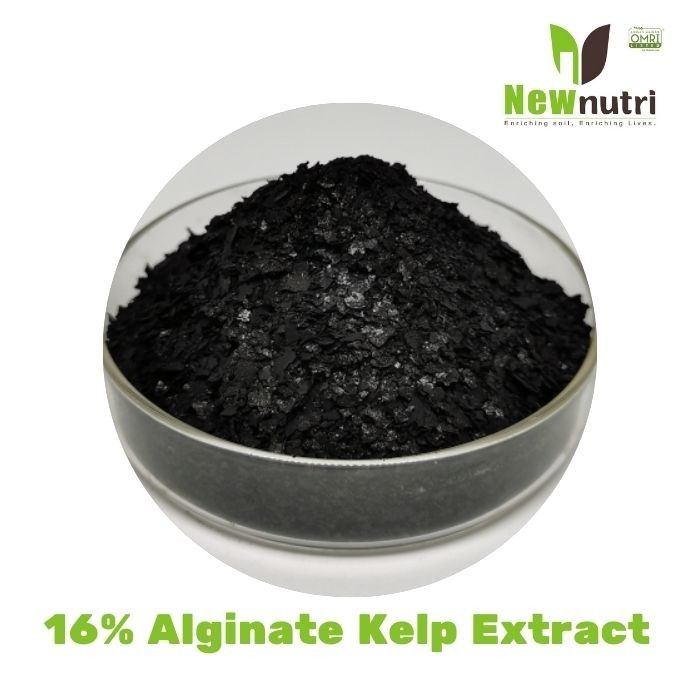 PH10 16% Alginate Powdered Seaweed Fertilizer