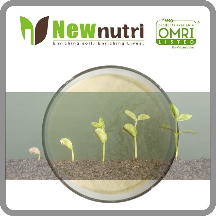 10% Magnesium Compound Amino Acid Powder