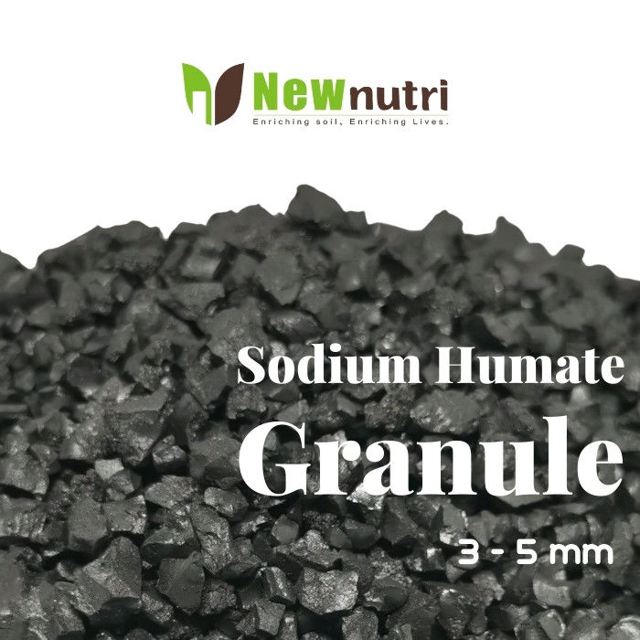 5mm Granular Humic Acid Water Soluble For Aquaculture