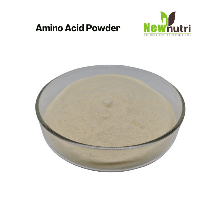 PH 6 Feed Grade High Protein Compound Amino Acid Powder